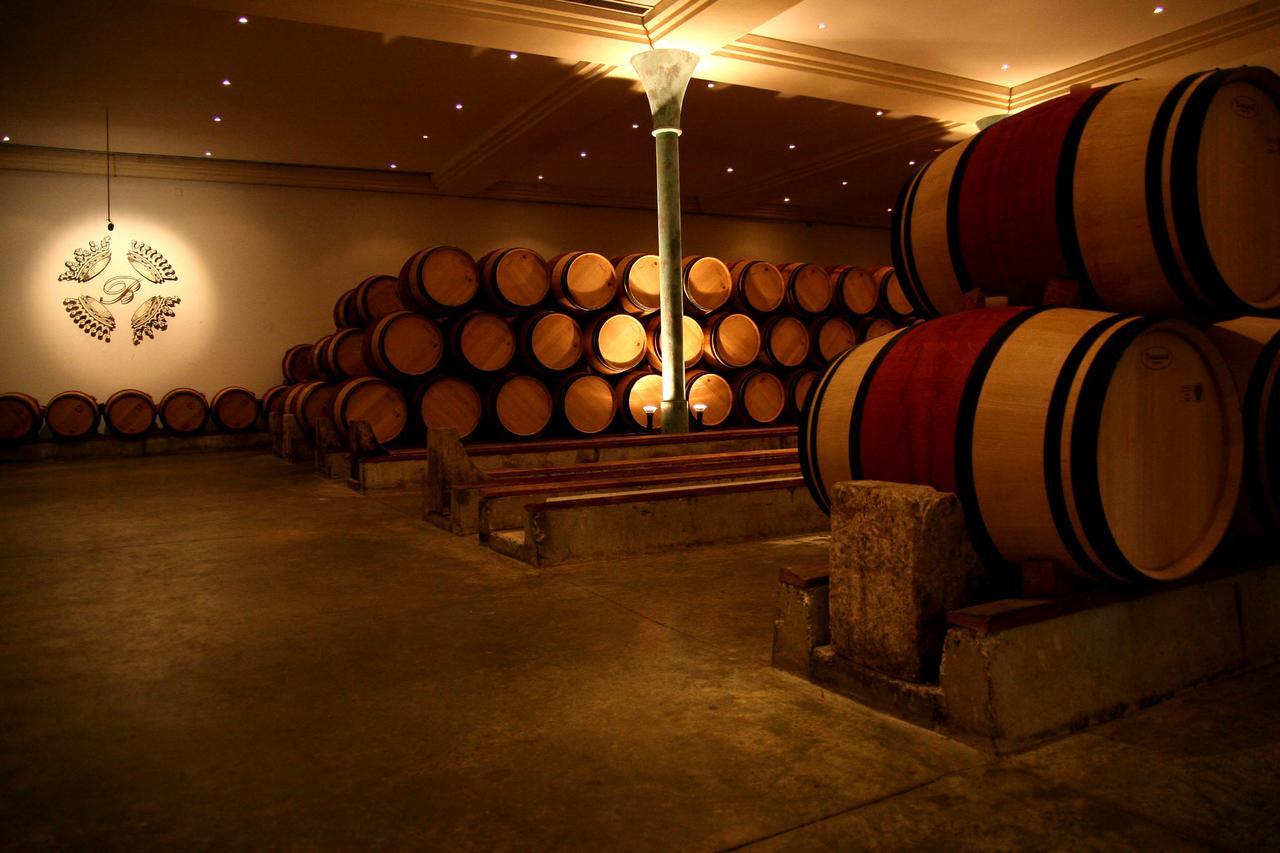 Bordeaux Village Blaye Bagian luar foto
